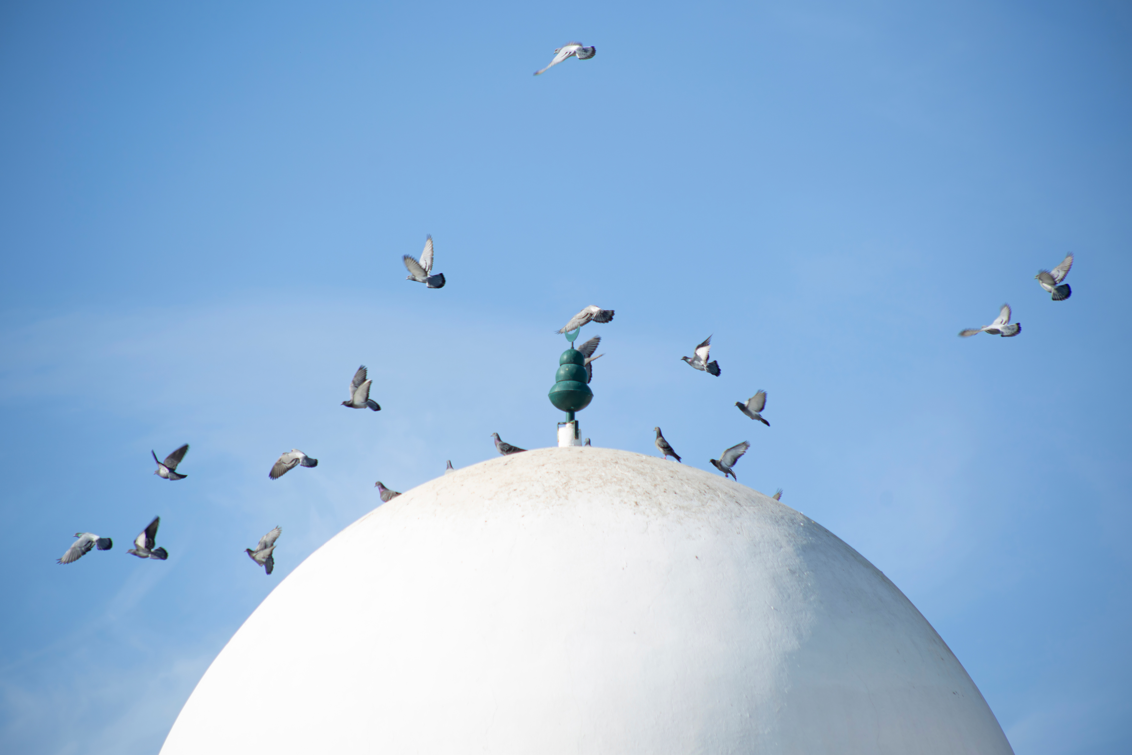 M liminal V – Flight