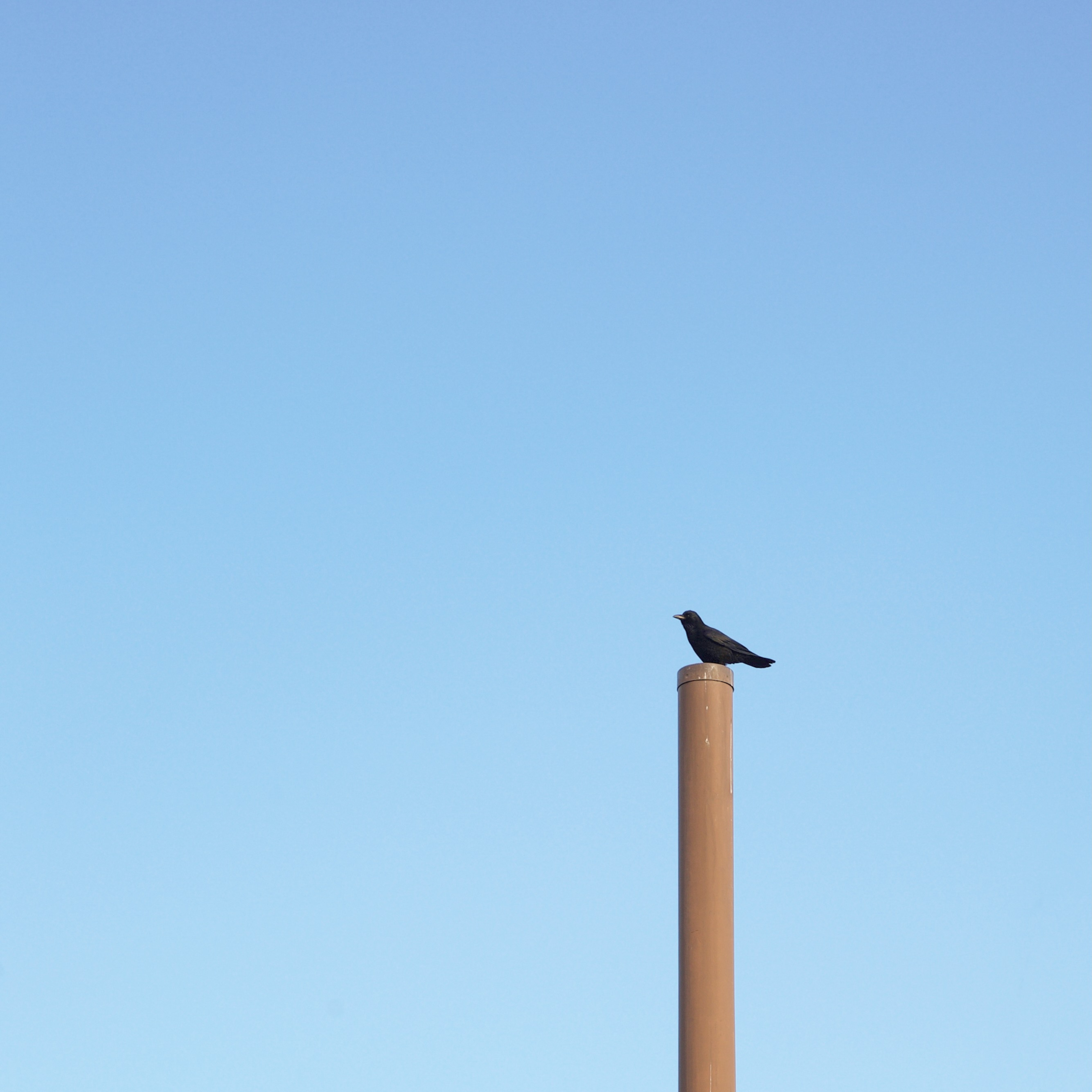 M liminal XII – Sentinel